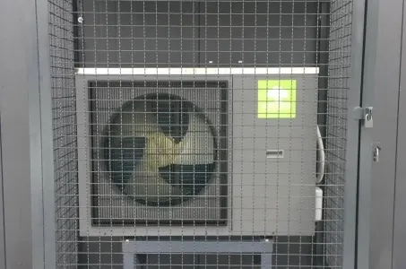 Autowäsche