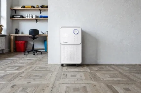 Wie wählt man einen Haushalts-Luftentfeuchter aus?